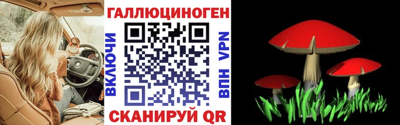 даркнет какой сайт  Бугульма  Псилоцибиновые грибы Cubensis 